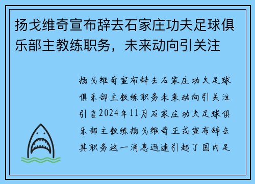 扬戈维奇宣布辞去石家庄功夫足球俱乐部主教练职务，未来动向引关注