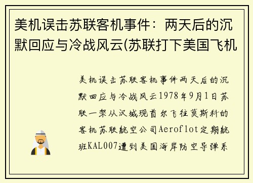 美机误击苏联客机事件：两天后的沉默回应与冷战风云(苏联打下美国飞机u2)